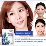 edistore,edistore.us,Skin Care Natural Fruit Plant Facial Mask Moisturizing Oil-Control Blueberry Cucumber